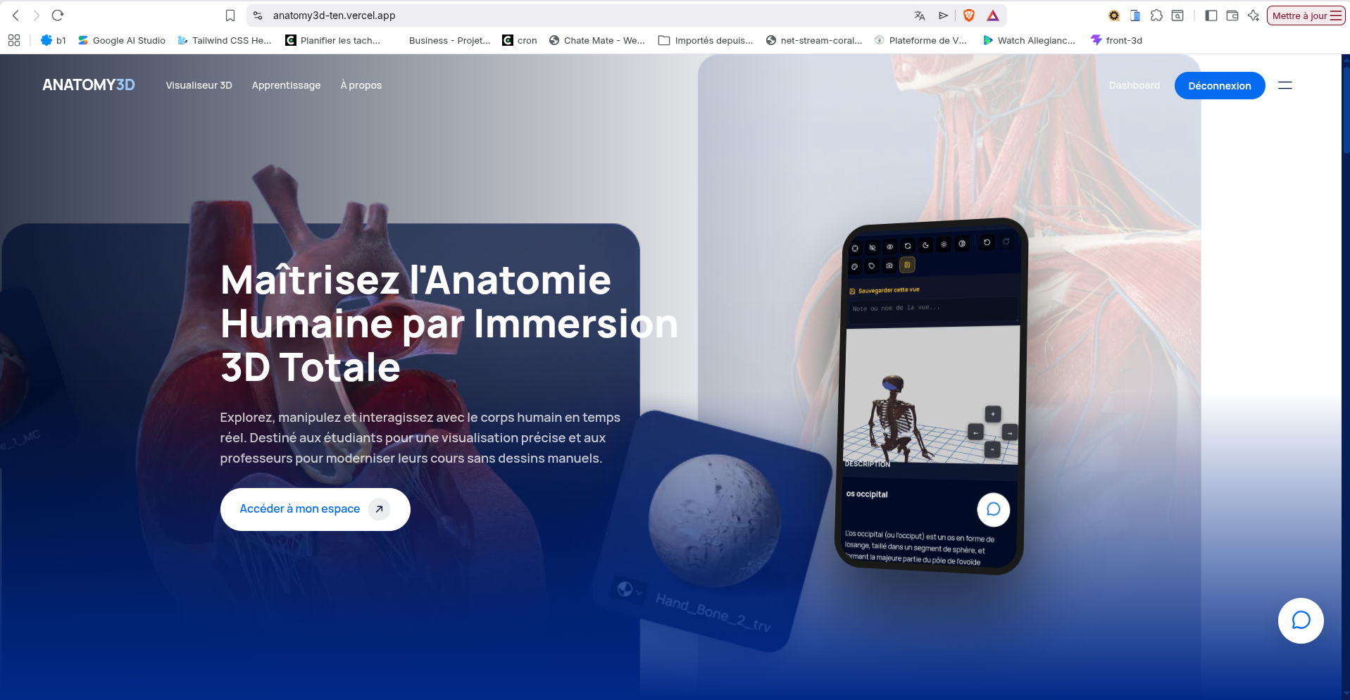 Anatomy 3D